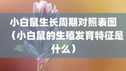 小白鼠生长周期对照表图（小白鼠的生殖发育特征是什么）