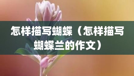 怎样描写蝴蝶(怎样描写蝴蝶兰的作文)
