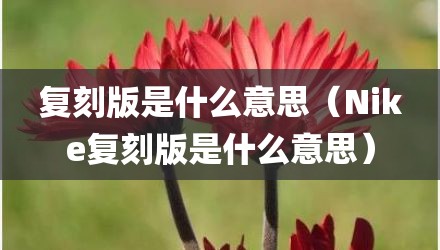 复刻版是什么意思（Nike复刻版是什么意思）
