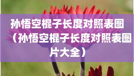 孙悟空棍子长度对照表图（孙悟空棍子长度对照表图片大全）
