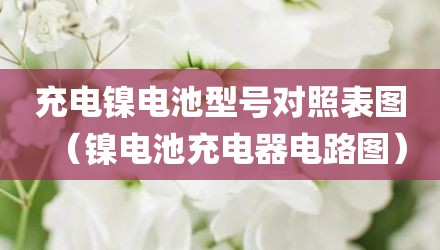 充电镍电池型号对照表图（镍电池充电器电路图）