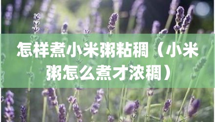 怎样煮小米粥粘稠（小米粥怎么煮才浓稠）