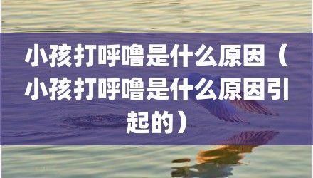 小孩打呼噜是什么原因（小孩打呼噜是什么原因引起的）