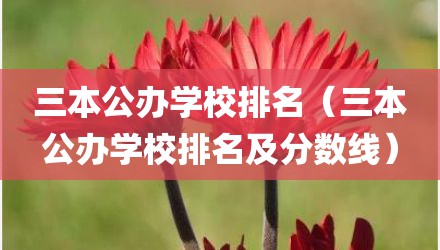 三本公办学校排名（三本公办学校排名及分数线）