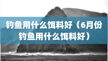 钓鱼用什么饵料好（6月份钓鱼用什么饵料好）