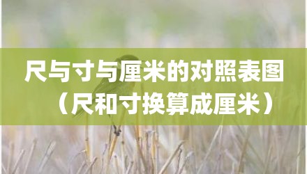 尺与寸与厘米的对照表图（尺和寸换算成厘米）