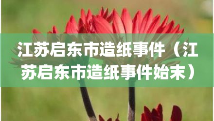 江苏启东市造纸事件（江苏启东市造纸事件始末）