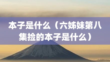 本子是什么（六姊妹第八集捡的本子是什么）