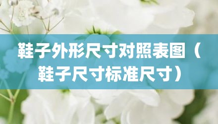 鞋子外形尺寸对照表图（鞋子尺寸标准尺寸）