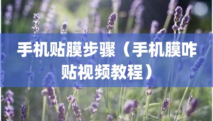 手机贴膜步骤（手机膜咋贴视频教程）