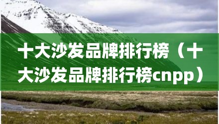 十大沙发品牌排行榜（十大沙发品牌排行榜cnpp）