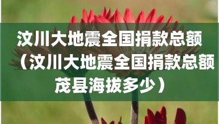 汶川大地震全国捐款总额（汶川大地震全国捐款总额茂县海拔多少）