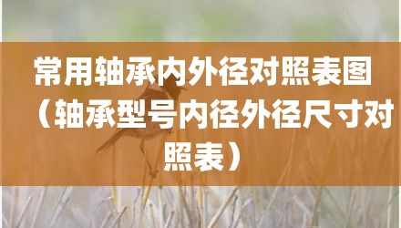常用轴承内外径对照表图（轴承型号内径外径尺寸对照表）