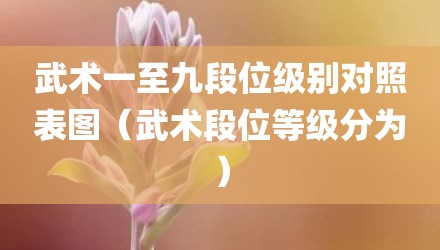 武术一至九段位级别对照表图（武术段位等级分为）