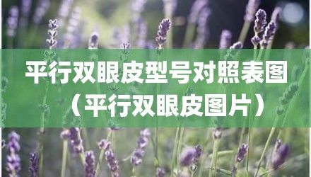 平行双眼皮型号对照表图（平行双眼皮图片）