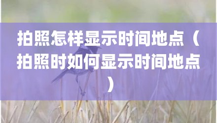 拍照怎样显示时间地点(拍照时如何显示时间地点)