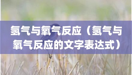 氢气与氧气反应（氢气与氧气反应的文字表达式）