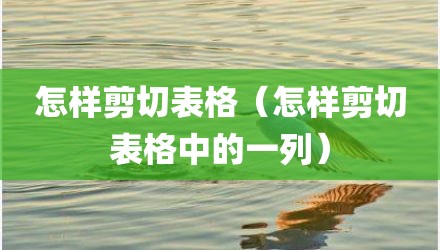 怎样剪切表格（怎样剪切表格中的一列）