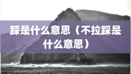 踩是什么意思（不拉踩是什么意思）
