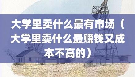 大学里卖什么最有市场（大学里卖什么最赚钱又成本不高的）