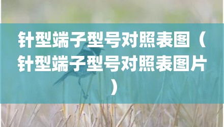 针型端子型号对照表图(针型端子型号对照表图片)