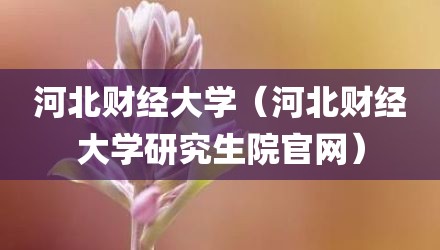 河北财经大学(河北财经大学研究生院官网)
