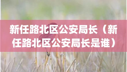 新任路北区公安局长（新任路北区公安局长是谁）