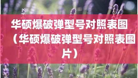 华硕爆破弹型号对照表图（华硕爆破弹型号对照表图片）