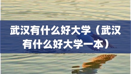 武汉有什么好大学（武汉有什么好大学一本）