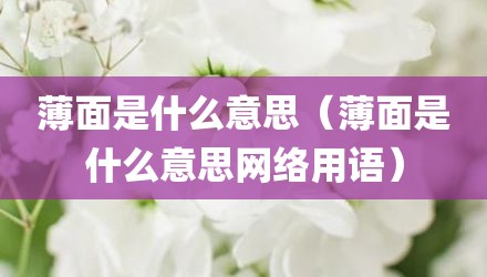薄面是什么意思(薄面是什么意思网络用语)