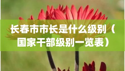 长春市市长是什么级别（国家干部级别一览表）