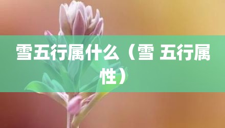 雪五行属什么（雪 五行属性）