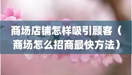 商场店铺怎样吸引顾客（商场怎么招商最快方法）
