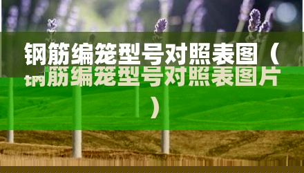 钢筋编笼型号对照表图(钢筋编笼型号对照表图片)
