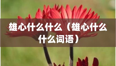 雄心什么什么（雄心什么什么词语）