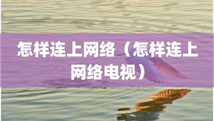 怎样连上网络（怎样连上网络电视）