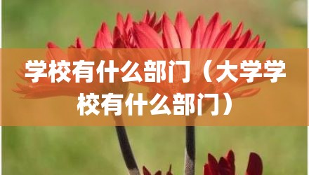 学校有什么部门（大学学校有什么部门）