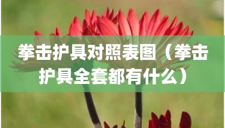 拳击护具对照表图（拳击护具全套都有什么）