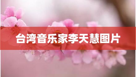 台湾音乐家李天慧图片