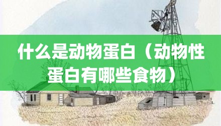 什么是动物蛋白（动物性蛋白有哪些食物）