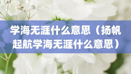 学海无涯什么意思（扬帆起航学海无涯什么意思）
