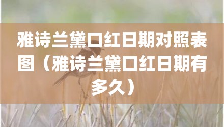 雅诗兰黛口红日期对照表图（雅诗兰黛口红日期有多久）