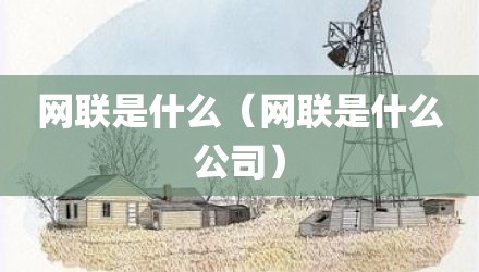 网联是什么（网联是什么公司）