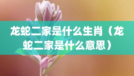 龙蛇二家是什么生肖（龙蛇二家是什么意思）