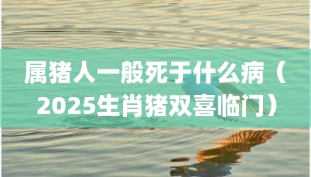 属猪人一般死于什么病（2025生肖猪双喜临门）