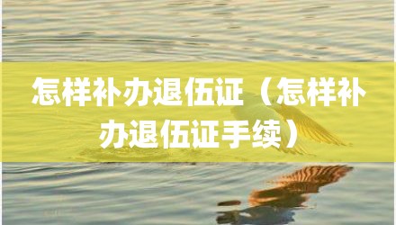 怎样补办退伍证（怎样补办退伍证手续）