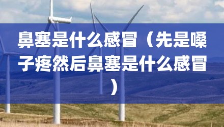 鼻塞是什么感冒（先是嗓子疼然后鼻塞是什么感冒）