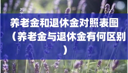 养老金和退休金对照表图（养老金与退休金有何区别）