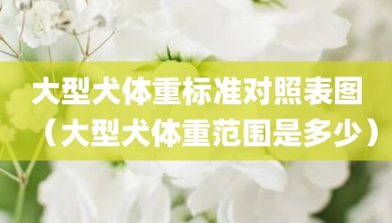 大型犬体重标准对照表图（大型犬体重范围是多少）