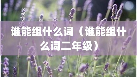 谁能组什么词（谁能组什么词二年级）